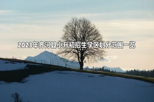 2023年齐河县小升初招生学区划分范围一览