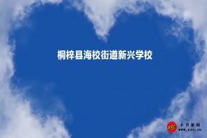 桐梓县海校街道新兴学校收费标准(学费)及学校简介