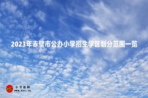 2023年赤壁市公办小学招生学区划分范围一览