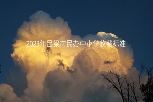 2023年吕梁市民办中小学收费标准(学费+住宿费)汇总