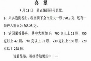 2023年晋江养正中学中考成绩升学率(中考喜报)