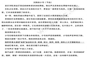 《沉默的小号》阅读理解题及答案(阅读答案)