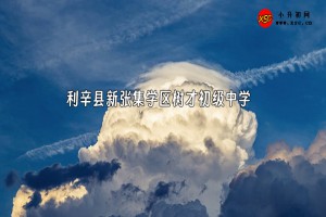 利辛县新张集学区树才初级中学收费标准(学费)及学校简介