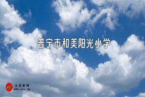 普宁市和美阳光小学收费标准(学费)及学校简介