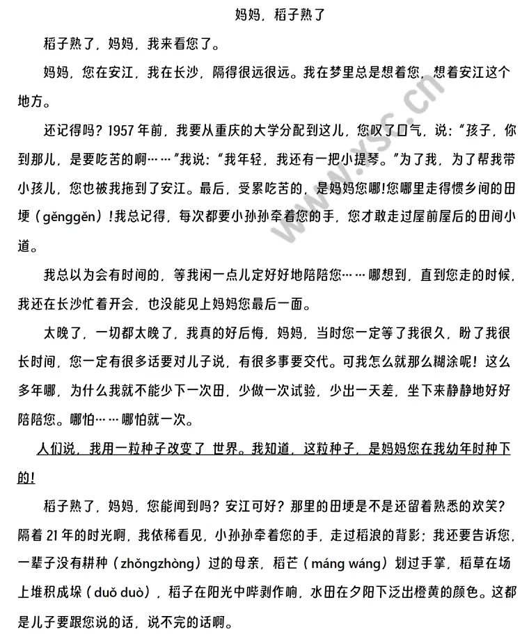 《妈妈,稻子熟了》阅读理解题及答案(阅读答案四)