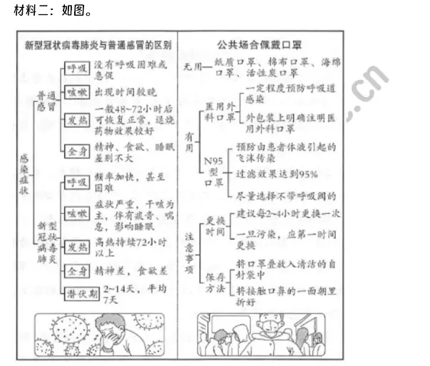 《新型冠状病毒》 (2).webp