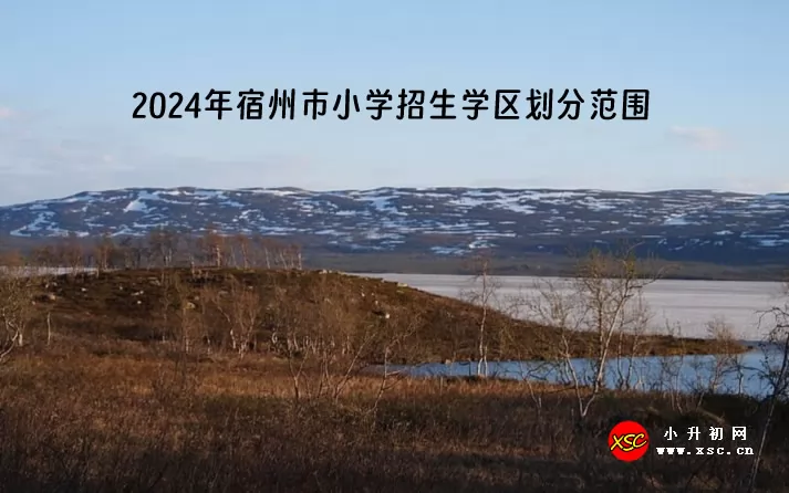 2024年宿州市小学招生学区划分范围一览