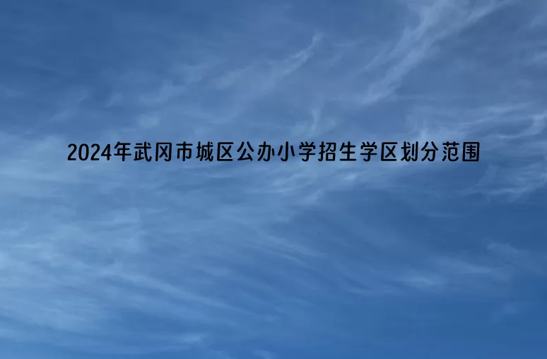 2024年武冈市城区公办小学招生学区划分范围一览