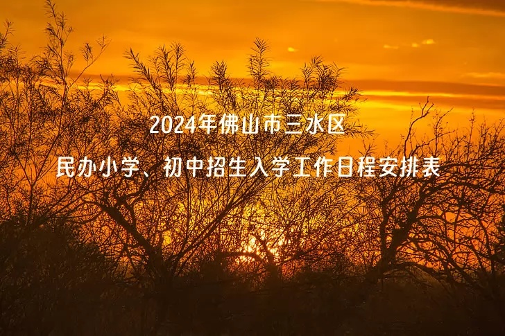 2024年佛山市三水区民办小学、初中招生入学工作日程安排表