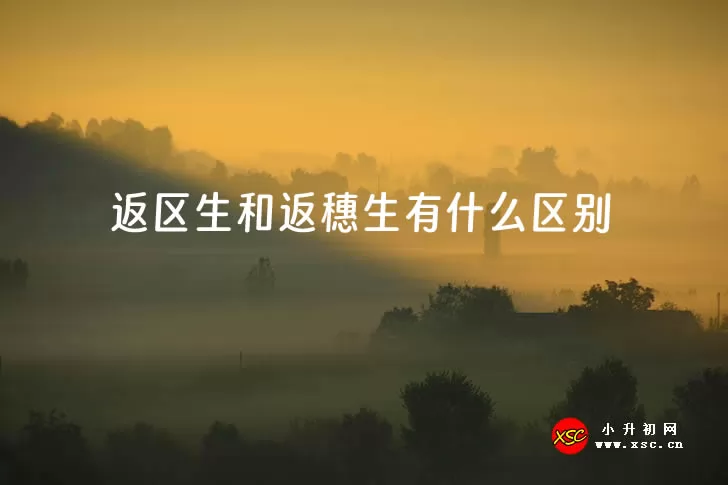 返区生和返穗生有什么区别？返区生需要什么时候办理？.jpg