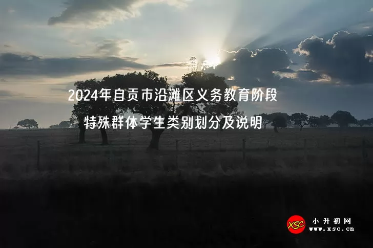 2024年自贡市沿滩区义务教育阶段特殊群体学生类别划分及说明