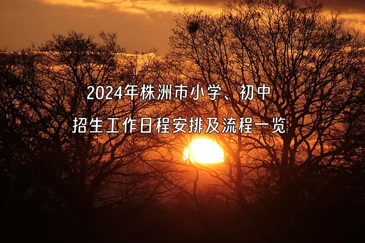 2024年株洲市小学、初中招生工作日程安排及流程一览