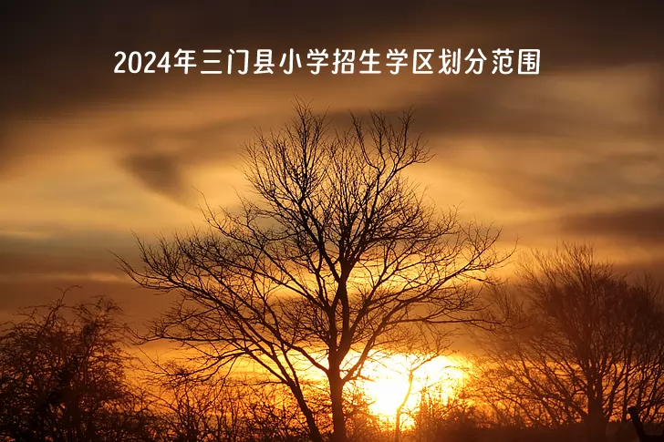 2024年三门县小学招生学区划分范围一览