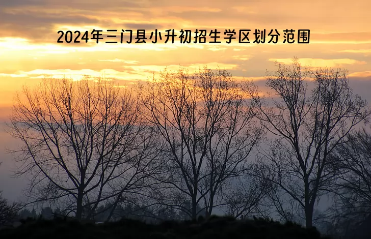 2024年三门县小升初招生学区划分范围一览