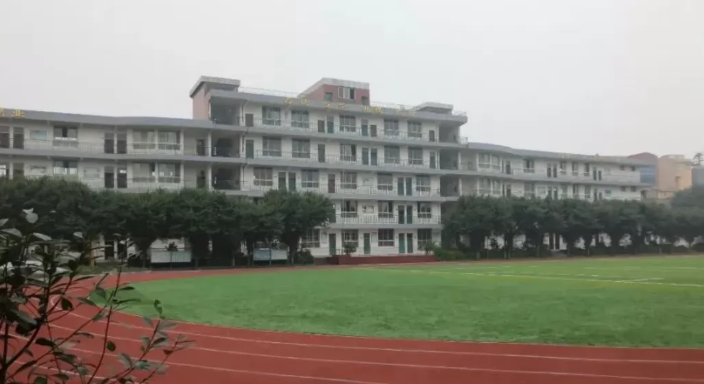 2024年宜宾市黄桷庄小学招生简章