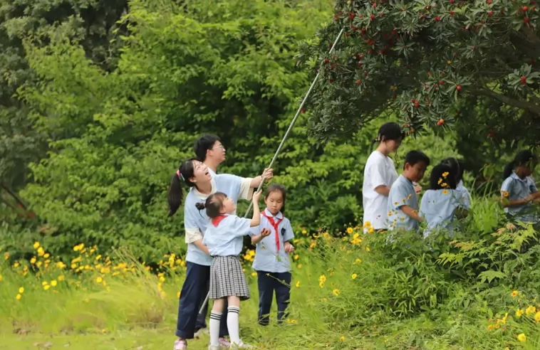 2024年宁波市北仑区滨海新城实验学校小学部招生简章(含收费标准)