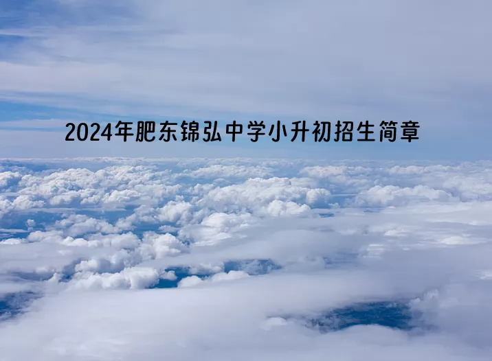 2024年肥东锦弘中学小升初招生简章(附收费标准)