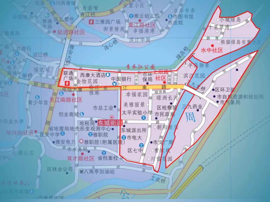 雅安市雨城区小学划片范围 (6).png