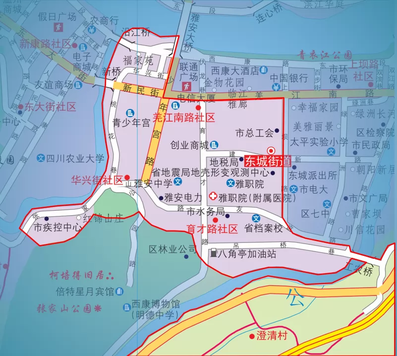 雅安市雨城区小学划片范围 (4).png