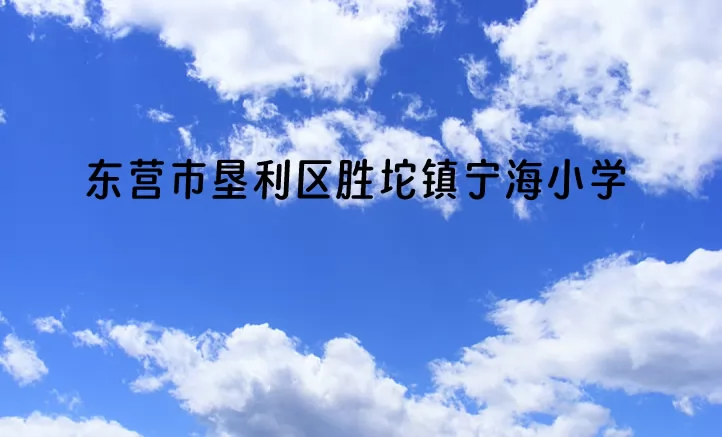 2024年东营市垦利区胜坨镇宁海小学招生简章(附招生范围)