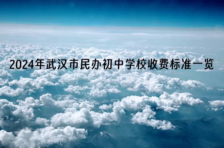 2024年武汉市民办初中学校收费标准一览