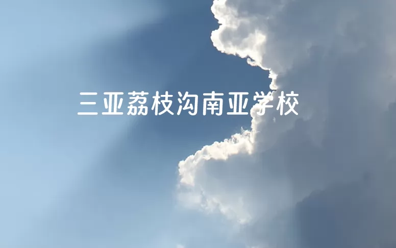 三亚荔枝沟南亚学校收费标准(学费)及学校简介