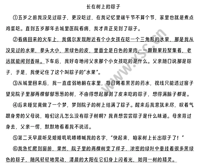 长在树上的粽子原文 (1).png