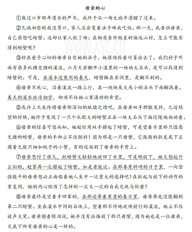 母亲的心阅读理解题及答案(阅读答案)