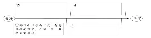 带白蘑菇回家阅读理解题及答案(阅读答案)