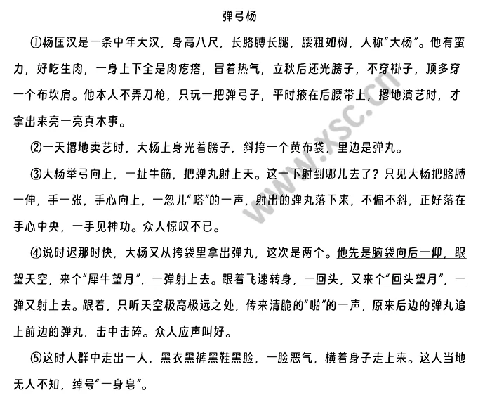 弹弓杨阅读理解题及答案(阅读答案)