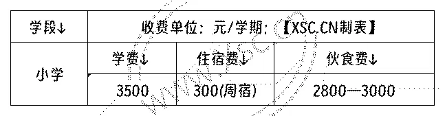 2024年三亚曙光小学收费标准明细