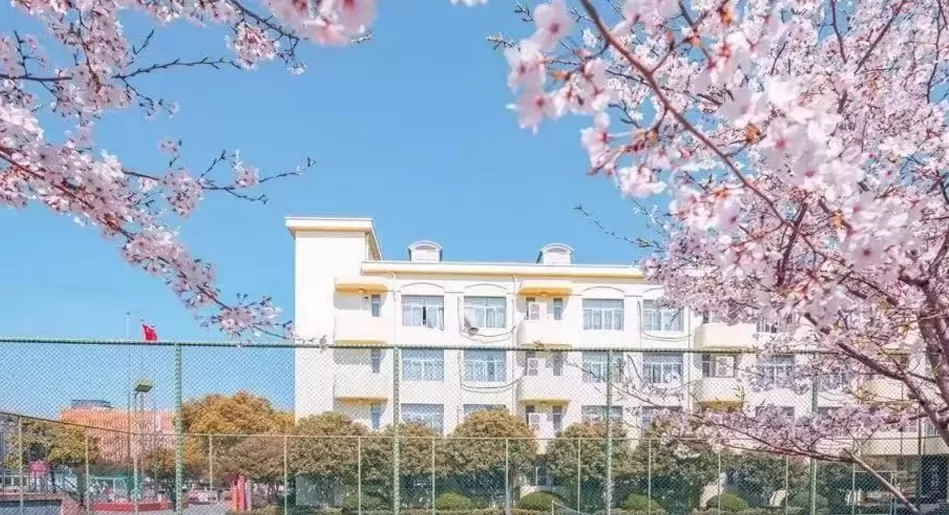 上海市民办德英乐实验学校