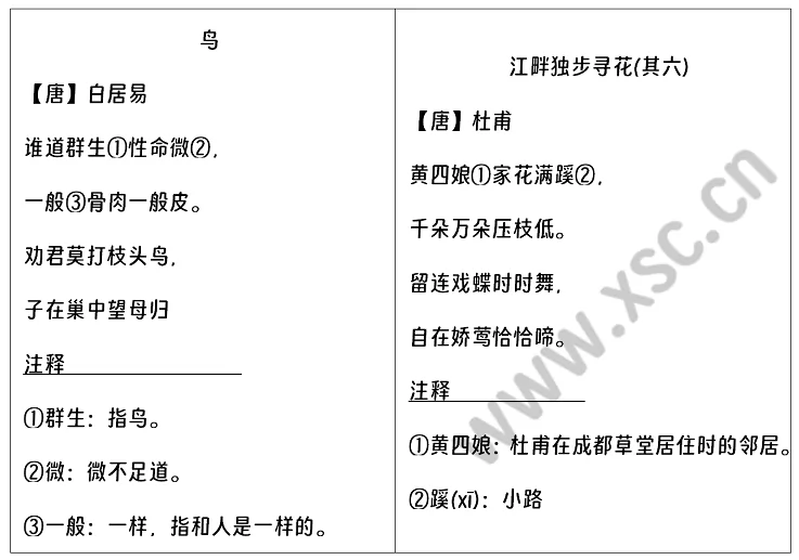 《鸟》《江畔独步寻花·其六》阅读理解题及答案(阅读答案)