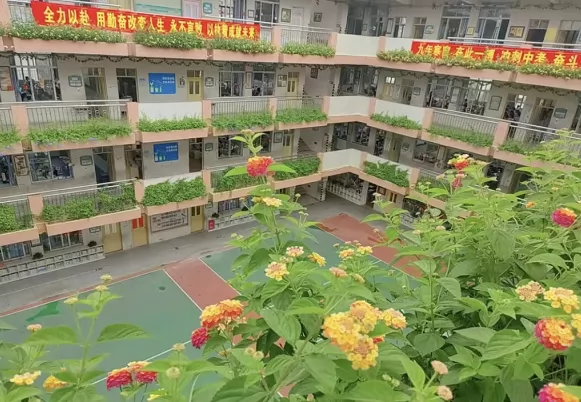 深圳市宝安区金碧实验学校