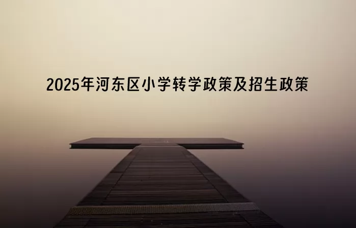 2025年天津市河东区小学转学政策及最新招生政策