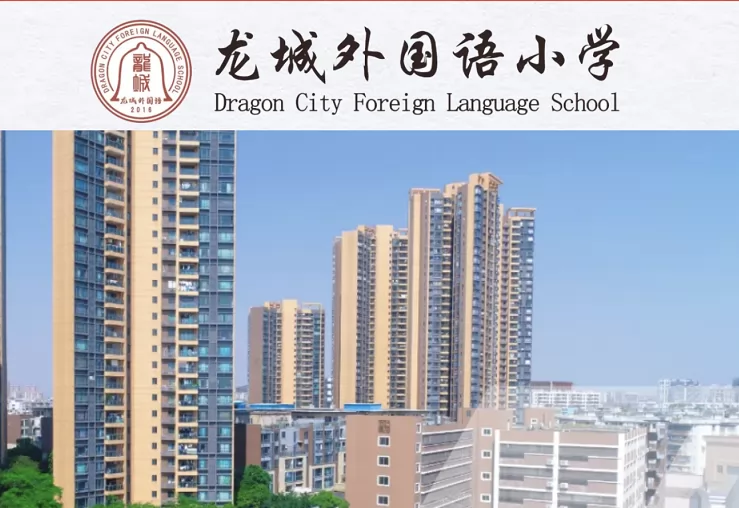 2025年东莞市石龙龙城外国语小学春季插班生招生简章