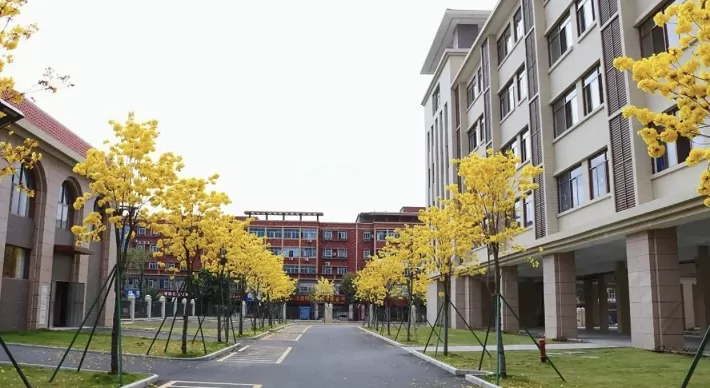 中山市光正实验学校