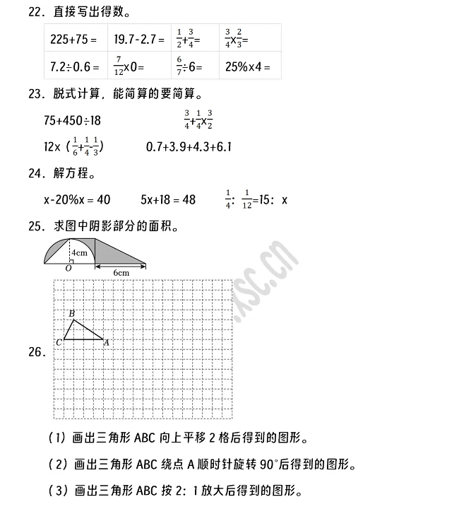 2024-2025年雷州市小升初数学考试试卷3