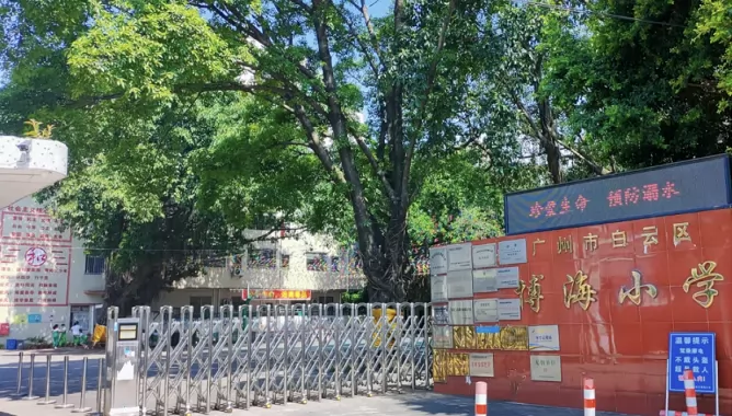 广州市白云区博海小学