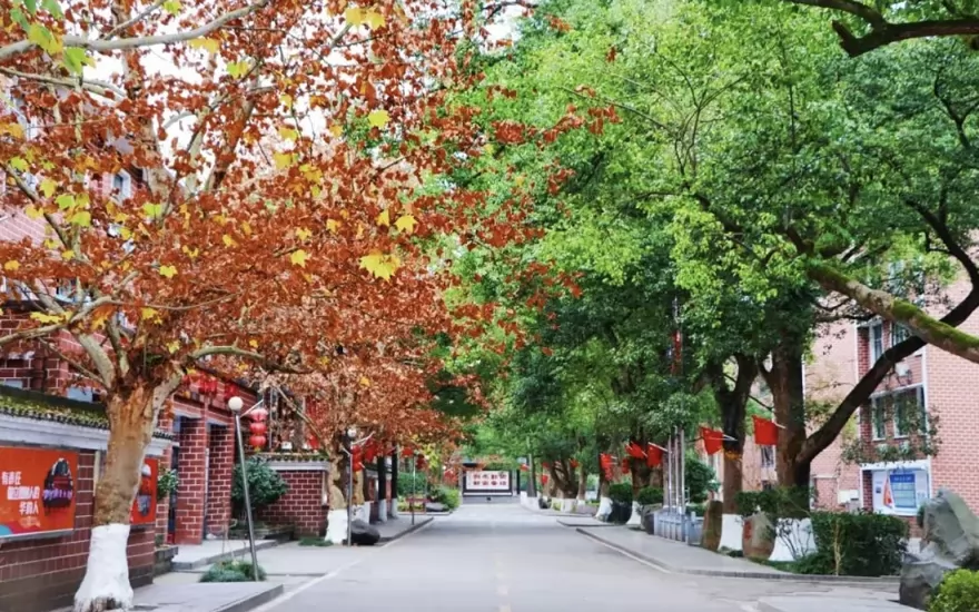 洪江市华韵实验学校