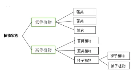 xsc.cn450.webp