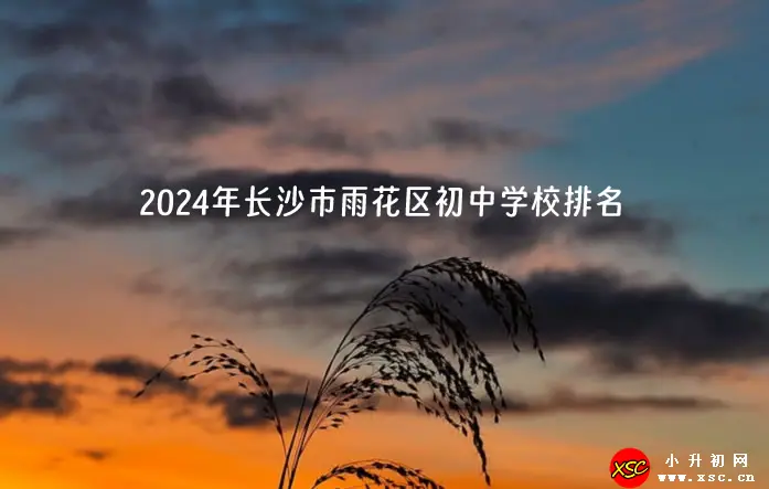 2024年长沙市雨花区初中学校排名(优质初中排行榜)