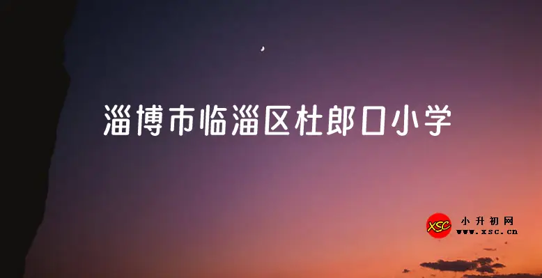 2024年淄博市临淄区杜郎口小学招生简章及收费标准