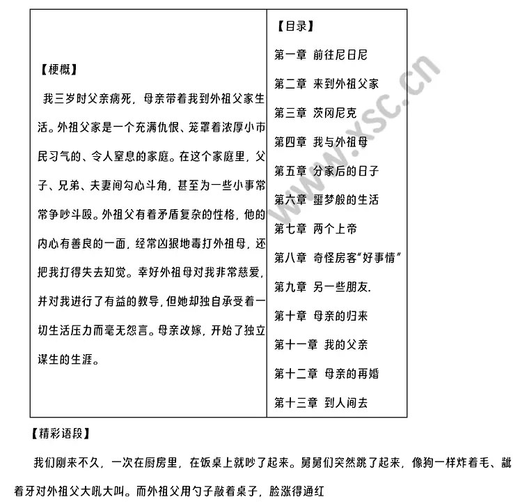 《童年》阅读理解题及答案(阅读答案十三)