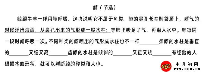 《鲸》阅读理解题及答案(阅读答案三)