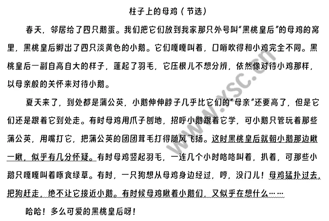 柱子上的母鸡阅读理解题及答案(阅读答案)