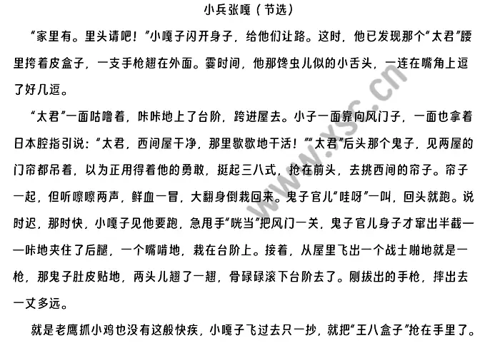 小兵张嘎阅读理解题及答案(阅读答案)