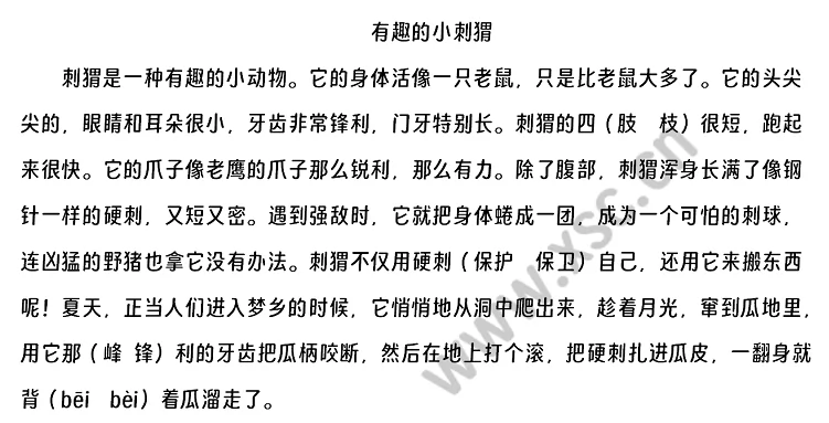 刺猬是一种有趣的小动物。它的身体活像一只老鼠，只是比老鼠大多了。它的头尖尖的，眼睛和耳朵很小，牙齿非常锋利，门牙特别长。刺猬的四（肢  枝）很短，跑起来很快。它的爪子像老鹰的爪子那么锐利，那么有力。除了腹部，刺猬浑身长满了像钢针一样的硬刺，又短又密。遇到强敌时，它就把身体蜷成一团，成为一个可怕的刺球，连凶猛的野猪也拿它没有办法。刺猬不仅用硬刺（保护  保卫）自己，还用它来搬东西呢！夏天，正当人们进入梦乡的时候，它悄悄地从洞中爬出来，趁着月光，窜到瓜地里，用它那（峰 锋）利的牙齿把瓜柄咬断，然后在地上打个滚，把硬刺扎进瓜皮，一翻身就背（bēi  bèi）着瓜溜走了。