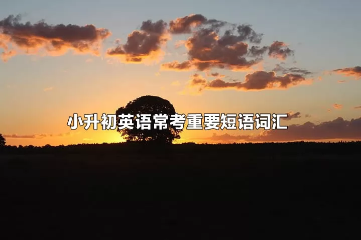 小升初英语常考重要短语词汇汇总