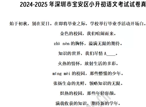 2024-2025年深圳市宝安区小升初语文考试试卷真题及答案